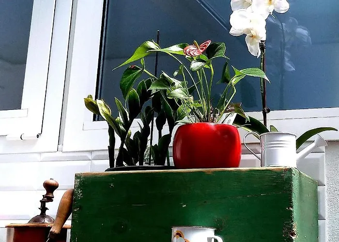 Nyaraló Cortemazzini36